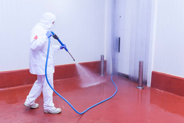 Best Patio and Deck Pressure Washing  in Hoer, OK