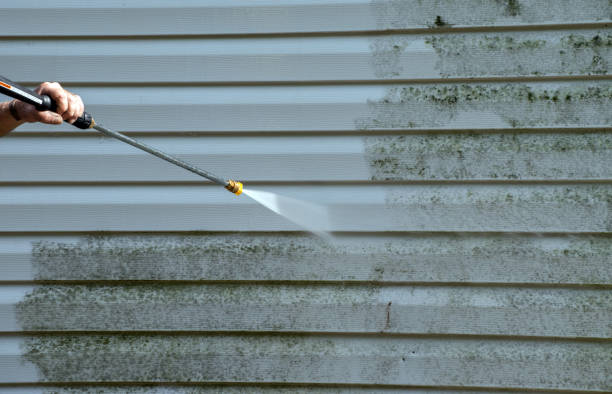 Best Boat and Dock Cleaning  in Hoer, OK